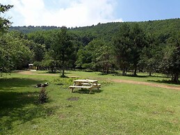 Kirkahvesi Garden - Campsite