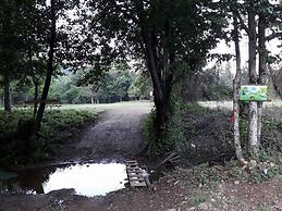 Kirkahvesi Garden - Campsite