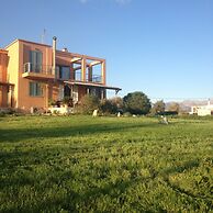 Alekos Beach Houses-Infinity