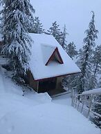 KVR Clarks Inn, Kufri