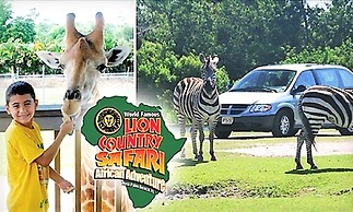 Condos at Singer Island Resort&Spa