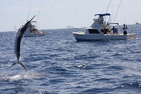 Condos at Singer Island Resort&Spa