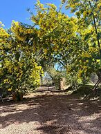 Finca La Viriñuela