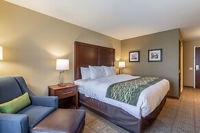 Comfort Inn & Suites – Harrisburg Airport – Hershey South