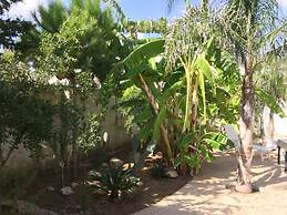 Punta Prosciutto Bed To Rent