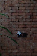 The White Elephant Home