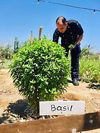 Eco Beach and Magic Garden