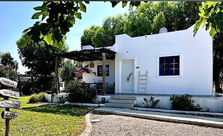 Eco Beach and Magic Garden