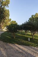 Eco Beach and Magic Garden