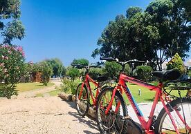 Eco Beach and Magic Garden