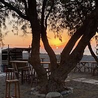 Eco Beach and Magic Garden