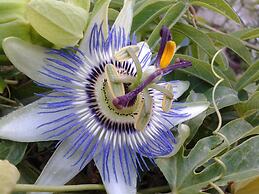 Locanda dei Buoni e Cattivi