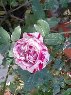 Locanda dei Buoni e Cattivi