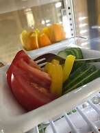 Filipsborg, the Arctic Mansion