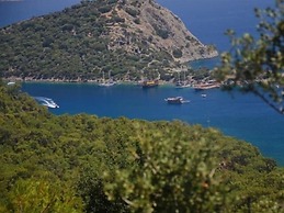 Green Valley Apartments