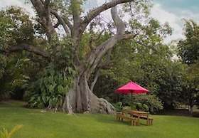 Hotel Quinta Moctezuma