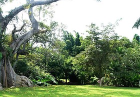 Hotel Quinta Moctezuma