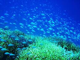 Seven Colors Ishigakijima