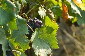 Podere San Lorenzo