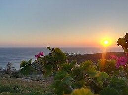 The Traditional Stone Villa