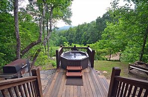 Soaring Eagle 1 Bedroom Cabin by Redawning