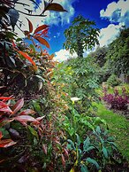 Casa Agrreste Bed & Breakfast