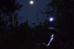 Casa Agrreste Bed & Breakfast