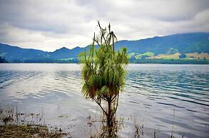 Casa Agrreste Bed & Breakfast