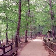 De Sio Camping Residence