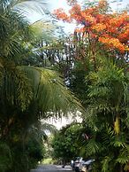 Baan Suan Palm Resort