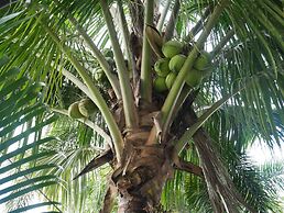 Baan Suan Palm Resort