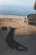 Media Luna Hostel Baru