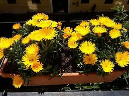 B&B Rome Charming House