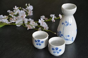 Jemsty Inn Hakone Ashinoko