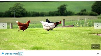 Crofthead Farm House