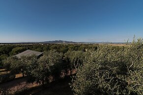 Tenuta Poggio Rosso Glamping