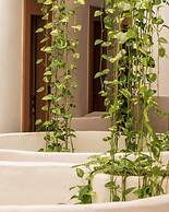 Approdo Resort Thalasso Spa