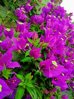 B&B Via delle 5 Terre