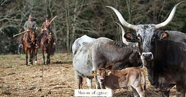 Agriturismo Il Roseto