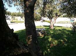 Agriturismo La Paiara