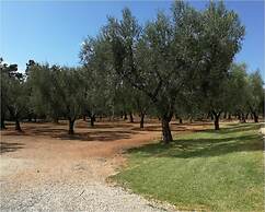 Agriturismo La Paiara