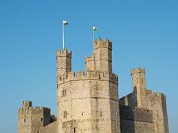 Ty Glyndwr Bunkhouse Bar and Cafe - Hostel