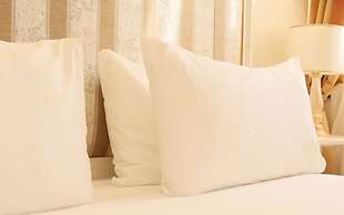 Cà Bonfadini Historic Experience