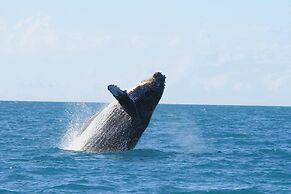 Pousada Coral de Fogo
