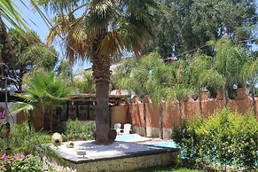 Palace Hotel Costa Del Sole