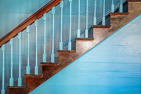 The Fred - Adults Only