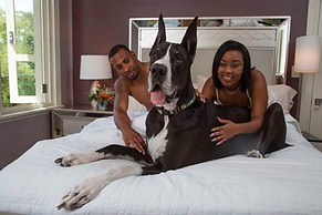 The Fred - Adults Only