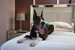 The Fred - Adults Only