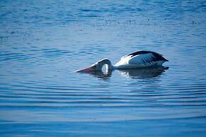 Pelican Caravan Park