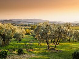 Agriturismo Il Palazzo